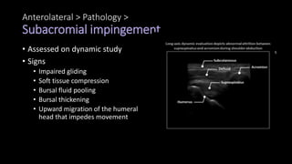 Anterolateral > Pathology >
Subacromial impingement
• Assessed on dynamic study
• Signs
• Impaired gliding
• Soft tissue compression
• Bursal fluid pooling
• Bursal thickening
• Upward migration of the humeral
head that impedes movement
 