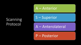 Scanning
Protocol
A – Anterior
S – Superior
A – Anterolateral
P – Posterior
 