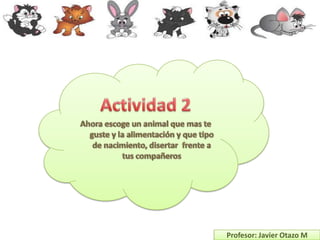 Profesor: Javier Otazo M
 