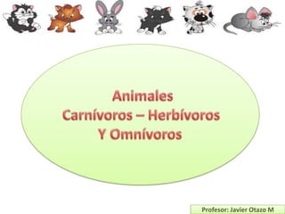 Profesor: Javier Otazo M
 