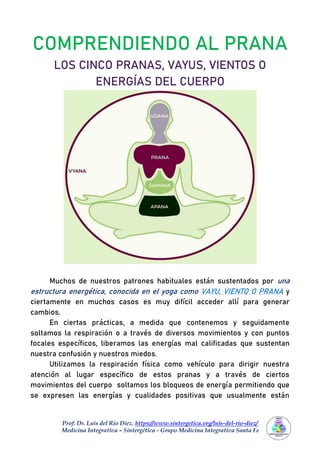 Prof. Dr. Luis del Rio Diez. https://www.sintergetica.org/luis-del-rio-diez/
Medicina Integrativa – Sintergética - Grupo Medicina Integrativa Santa Fe
COMPRENDIENDO AL PRANA
LOS CINCO PRANAS, VAYUS, VIENTOS O
ENERGÍAS DEL CUERPO
Muchos de nuestros patrones habituales están sustentados por una
estructura energética, conocida en el yoga como VAYU, VIENTO O PRANA y
ciertamente en muchos casos es muy difícil acceder allí para generar
cambios.
En ciertas prácticas, a medida que contenemos y seguidamente
soltamos la respiración o a través de diversos movimientos y con puntos
focales específicos, liberamos las energías mal calificadas que sustentan
nuestra confusión y nuestros miedos.
Utilizamos la respiración física como vehículo para dirigir nuestra
atención al lugar específico de estos pranas y a través de ciertos
movimientos del cuerpo soltamos los bloqueos de energía permitiendo que
se expresen las energías y cualidades positivas que usualmente están
 