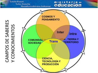 COMUNIDAD Y
SOCIEDAD
VIDA , TIERRA Y
TERRITORIO
COSMOS Y
PENSAMIENTO
CIENCIA,
TECNOLOGÍA Y
PRODUCCIÓN
Trans
Inter
intra
CAMPOSDESABERES
YCONOCIMIENTOS
 