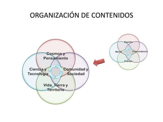ORGANIZACIÓN DE CONTENIDOS
 