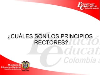 ¿CUÁLES SON LOS PRINCIPIOS RECTORES?  