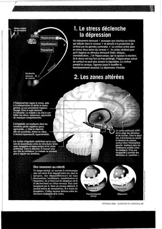 FÉVRIER 2008 - SCIENCES ET AVENIR. 49
 