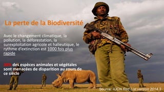La perte de la Biodiversité
Avec le changement climatique, la pollution, la
déforestation, la surexploitation agricole et
...