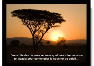  Vousdécidez de vous reposer quelques minutes sous
   un acacia pour contempler le coucher de soleil…
 