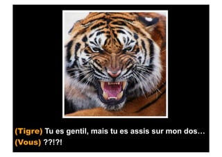 (Tigre) Tu es gentil, mais tu es assis sur mon dos…
(Vous) ??!?!
 