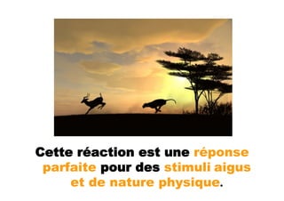 Cette réaction est une réponse
 parfaite pour des stimuli aigus
     et de nature physique.
 