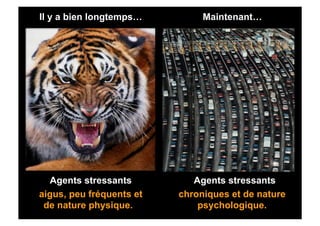  Il   y a bien longtemps…        Maintenant…




    Agents stressants          Agentsstressants
 aigus, peu fréquents et    chroniques et de nature
   de nature physique.           psychologique.
 