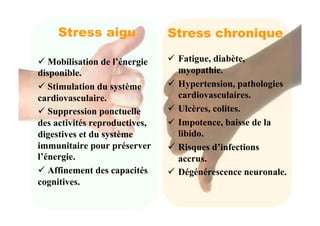 Stress aigu               Stress chronique

  Mobilisation de l’énergie     Fatigue, diabète,
disponible.                       myopathie.
  Stimulation du système        Hypertension, pathologies
cardiovasculaire.                 cardiovasculaires.
  Suppression ponctuelle        Ulcères, colites.
des activités reproductives,     Impotence, baisse de la
digestives et du système          libido.
immunitaire pour préserver       Risques d’infections
l’énergie.                        accrus.
  Affinement des capacités      Dégénérescence neuronale.
cognitives.
 