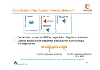 4242
• Concertation au sein du SIEF et respect des obligations de chacun
• Chaque déclarant doit enregistrer et recevoir un numéro unique
d’enregistrement
01-xxxxxxxxxx-yy-zzzz
Soumission d’un dossier d’enregistrement
Numéro unique par substance Numéro unique par déclarant.
LR = 0000
https://echa.europa.eu/documents/10162/22308542/prepare_inquiry_dossier_fr.pdf/fe0fe6ff-5daf-48ff-9424-d0b7eafbab4e
 