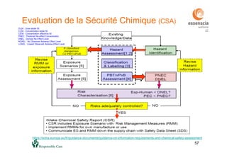 57
Evaluation de la Sécurité Chimique (CSA)
DL50 : Dose letale 50
CL50 : Concentration letale 50
CE50 : Concentration effectrice 50
PNEC : Predicted No-effect Concentration
DNEL : Derived No Effect Level
NOAEL : No Observed Adverse Effect Level
LOAEL : Lowest Observed Adverse Effect Level
57
https://echa.europa.eu/fr/guidance-documents/guidance-on-information-requirements-and-chemical-safety-assessment
 