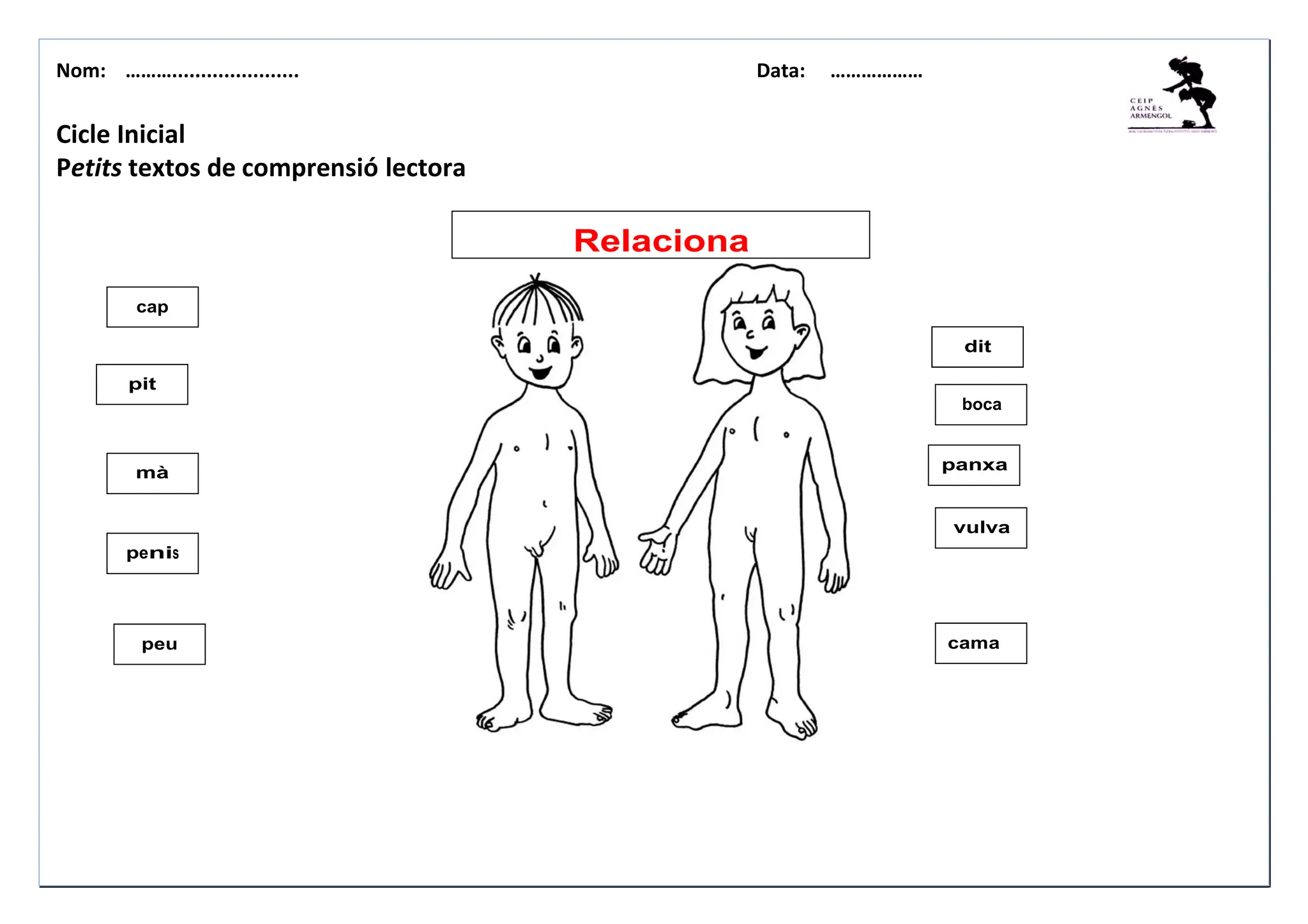 Nom: ………...................... Data: ………………
Relaciona
cap
pit
mà
cama
penis
vulva
panxa
dit
peu
boca
Cicle Inicial
Petits textos de comprensió lectora
 