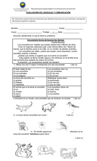 Escuela Pedro PabloLemaitre “Educando para ladiversidadenunclimade sana convivencia”
Primeros Básicos 2017
EVALUACIÓN DE LENGUAJE Y COMUNICACIÓN
Nombre: _____________________________________ Fecha: _________________
Curso: _______________________ Puntaje: _ /____Nota: _______________
Escucha atentamente lo que te leerá tu profesora
Una extraña forma de lavarse los dientes
Cecilia Beuchat
Los cocodrilos son reptiles que existen desde hace millones de años.
Viven en regiones calurosas junto a las riberas delos ríos. Nacen de
huevos que la hembra pone en la orilla, en un montón de plantas podridas.
Los cocodrilos son útiles, puesto que actúan como basureros; comen
animales muertos o heridos.
¿Sabías que existe un pajarito que no le teme al cocodrilo?
Este pajarito se llama chorlito egipcio. Se introduce en la terrible boca
del cocodrilo para quitarle los restos de comida.
A propósito, ¿tú acostumbras lavarte los dientes?
1.- Marca con una X según corresponda a lo que escuchaste: 1 pto c/u
El texto habla de los:
a) Los cocodrilos
b) Los animales
c) Los pájaros
Los cocodrilos viven en.
a) Las montañas
b) En los ríos
c) En el mar
La boca del cocodrilo es:
a) grande
b) brillante
c) maloliente
Maloliente quiere decir :
a) perfumada
b) de mal olor
c) que es mala
El animal que no le teme al cocodrilo
es un:
a) chorlito
b) puma
c) pájaro
Los cocodrilos nacen de:
a) crías vivas
b) huevos
c) sus padres
2.-Encierra en un círculo a los animales que se nombran en el texto: 1 pto c/u
3.- La boca de los cocodrilos son como : 1 pto c/u
4.- “El chorlito egipcio se introduce en la
boca del cocodrilo” introduce quiere decir:
2 ptos c/u
OA: Demostrar comprensión de narraciones que aborden temas que les sean familiares: extrayendo
información explícita e implícita.
3.- Ordenan números, comparan cantidades e intercalan números en secuencias
entre 0 y 30
2. Manejan un procedimiento para contar hasta 30 objetos y reconocen la importancia
del conteo; efectúan estimaciones
y comparaciones de cantidades en dicho ámbito numérico
3.- Ordenan números, comparan cantidades e intercalan números en secuencias
entre 0 y 30
 