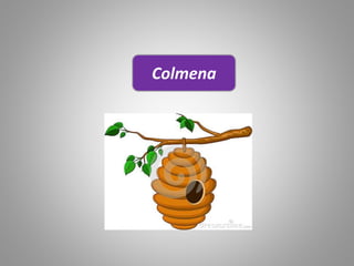 Colmena
 