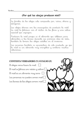 Comprensión lectora