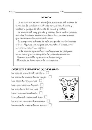 Comprensión lectora