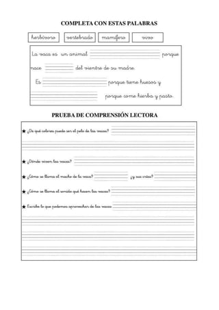 Comprensión lectora