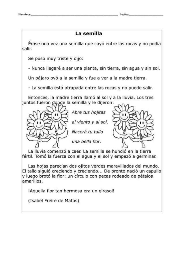 textos instructivos con preguntas de comprension comprensi 243 n lectora textos instructivos con preguntas de comprension comprensi 243 n lectora