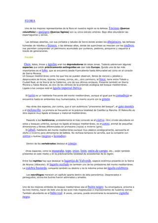 FLORA
Uno de los mejores representantes de la flora en nuestra región es la dehesa. Encinas (Quercus
rotundifolia) y quejigos (Quercus faginea) son su único estrato arbóreo. Bajo ellos abundarán las
esparragueras y zarzas.
Las dehesas abiertas, con sus cortados y taludes de tierra donde anidan los abejarucos, las dehesas
húmedas de rebollos y fresnos, y las dehesas altas, donde las quercíneas se mezclan con los enebros,
nos permiten comprender un patrimonio acumulado por yunteros, pastores, porqueros y vaqueros a
través de generaciones.
FAUNA
Osos, lobos, linces y águilas eran los depredadores de estas zonas. Todavía sobreviven algunas
especies que están prácticamente extinguidas en casi toda Europa. Quizás una de las más
importantes es el lobo, que se encuentra desde Fuencaliente hasta Almuradiel así como en el corazón
de Sierra Morena.
Un bosque mediterráneo como los que hoy se pueden observar, llenos de ciervos y jabalíes y
desprovistos de linces, tejones, turones, zorros, etc., otro carnívoro, el lince, tiene entre Toledo y
Ciudad Real, en la Sierra de la Calderina, uno de sus últimos enclaves. Presente también en Sierra
Morena y hasta Alcaraz, es otro de los vértices de la pirámide ecológica del bosque mediterráneo.
Ligada a los conejos está el águila imperial ibérica.
El turón es un habitante frecuente del monte mediterráneo, aunque al igual que la comadreja se
encuentra hasta en ambientes muy humanizados, lo mismo ocurre con la gineta.
Hay otras dos especies, por contra, que sí son auténticos "prisioneros del bosque", el gato montés
y el meloncillo. La primera es frecuente en la práctica totalidad de Castilla-La Mancha. El Meloncillo es
otra especie muy ligada al bosque y matorral mediterráneo.
Pasando a los herbívoros, probablemente el más conocido es el ciervo. Otro círvido abundante en
sotos y bosques umbríos, aunque no ligado al bosque mediterráneo, es el corzo, animal de pequeñas
dimensiones y libreas diferenciadas en primavera (rojiza) e invierno (gris).
El jabalí, habitante del monte mediterráneo aunque muy plástico ecológicamente, aprovecha el
otoño e invierno para alimentarse de bellota. No rechaza tampoco la carroña, que la comparte con
zorros y buitres (negros o leonados).
Dentro de los vertebrados destaca el conejo.
Otras especies, como la musaraña, topo, erizo, lirón, ratón de campo, etc., están también
presentes en este medio y en la prácticamente totalidad de ecosistemas de la región.
Entre los reptiles hay que destacar la lagartija de Valverde, especie endímica presente en la Sierra
de Alcaraz (Albacete). El lagarto ocelado es también uno de los predadores del monte mediterráneo.
La culebra bastarda, comparte también su destino y es la máxima presa del águila culebrera.
Los necrófagos merecen un capítulo aparte dentro de esta panorámica. Despreciados o
perseguidos, otrora los buitres fueron admirados y amados.
Uno de los mejores símbolos de bosque mediterráneo sea el buitre negro. Su envergadura, próxima a
los tres metros, hacen de éste una de las aves más majestuosas e impresionantes de nuestras sierras.
También abundante es el búho real. A veces, cercana, puede encontrarse la escasísima cigüeña
negra.
 