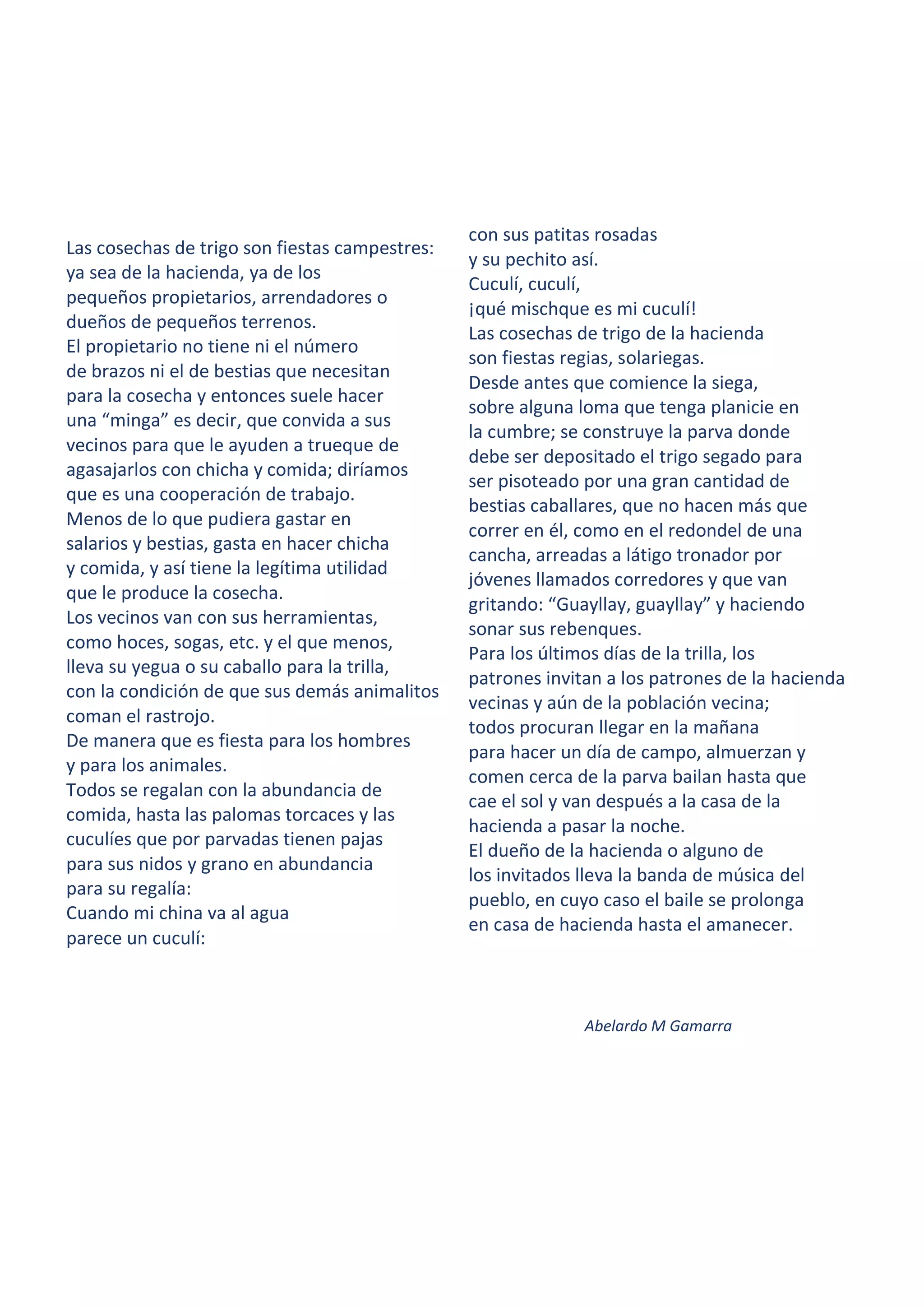 Las cosechas de trigo son fiestas campestres:
ya sea de la hacienda, ya de los
pequeños propietarios, arrendadores o
dueños de pequeños terrenos.
El propietario no tiene ni el número
de brazos ni el de bestias que necesitan
para la cosecha y entonces suele hacer
una “minga” es decir, que convida a sus
vecinos para que le ayuden a trueque de
agasajarlos con chicha y comida; diríamos
que es una cooperación de trabajo.
Menos de lo que pudiera gastar en
salarios y bestias, gasta en hacer chicha
y comida, y así tiene la legítima utilidad
que le produce la cosecha.
Los vecinos van con sus herramientas,
como hoces, sogas, etc. y el que menos,
lleva su yegua o su caballo para la trilla,
con la condición de que sus demás animalitos
coman el rastrojo.
De manera que es fiesta para los hombres
y para los animales.
Todos se regalan con la abundancia de
comida, hasta las palomas torcaces y las
cuculíes que por parvadas tienen pajas
para sus nidos y grano en abundancia
para su regalía:
Cuando mi china va al agua
parece un cuculí:
con sus patitas rosadas
y su pechito así.
Cuculí, cuculí,
¡qué mischque es mi cuculí!
Las cosechas de trigo de la hacienda
son fiestas regias, solariegas.
Desde antes que comience la siega,
sobre alguna loma que tenga planicie en
la cumbre; se construye la parva donde
debe ser depositado el trigo segado para
ser pisoteado por una gran cantidad de
bestias caballares, que no hacen más que
correr en él, como en el redondel de una
cancha, arreadas a látigo tronador por
jóvenes llamados corredores y que van
gritando: “Guayllay, guayllay” y haciendo
sonar sus rebenques.
Para los últimos días de la trilla, los
patrones invitan a los patrones de la hacienda
vecinas y aún de la población vecina;
todos procuran llegar en la mañana
para hacer un día de campo, almuerzan y
comen cerca de la parva bailan hasta que
cae el sol y van después a la casa de la
hacienda a pasar la noche.
El dueño de la hacienda o alguno de
los invitados lleva la banda de música del
pueblo, en cuyo caso el baile se prolonga
en casa de hacienda hasta el amanecer.
Abelardo M Gamarra
 