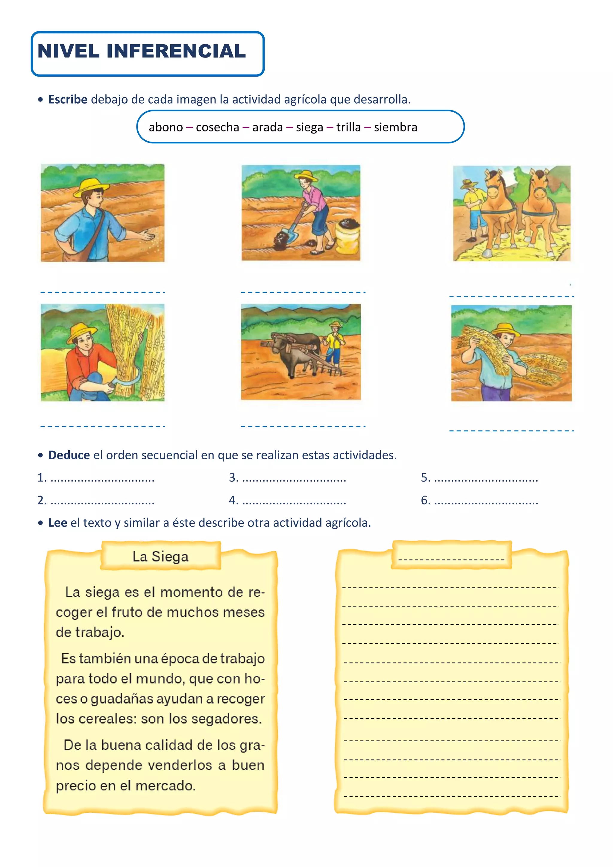 NIVEL INFERENCIAL
• Escribe debajo de cada imagen la actividad agrícola que desarrolla.
• Deduce el orden secuencial en que se realizan estas actividades.
1. ...............................
2. ...............................
3. ...............................
4. ...............................
5. ...............................
6. ...............................
• Lee el texto y similar a éste describe otra actividad agrícola.
abono – cosecha – arada – siega – trilla – siembra
 