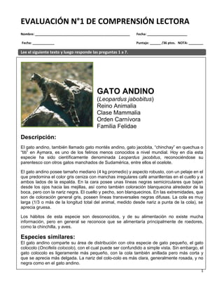 1
EVALUACIÓN N°1 DE COMPRENSIÓN LECTORA
Nombre: ____________________________________________________ Fecha: ______________________
Fecha: ____________ Puntaje: ______ /36 ptos. NOTA: ________
Lee el siguiente texto y luego responde las preguntas 1 a 7.
GATO ANDINO
(Leopardus jabobitus)
Reino Animalia
Clase Mammalia
Orden Carnívora
Familia Felidae
Descripción:
El gato andino, también llamado gato montés andino, gato jacobita, “chinchay” en quechua o
“titi” en Aymara, es uno de los felinos menos conocidos a nivel mundial. Hoy en día esta
especie ha sido científicamente denominada Leopardus jacobitus, reconociéndose su
parentesco con otros gatos manchados de Sudamérica, entre ellos el ocelote.
El gato andino posee tamaño mediano (4 kg promedio) y aspecto robusto, con un pelaje en el
que predomina el color gris ceniza con manchas irregulares café amarillentas en el cuello y a
ambos lados de la espalda. En la cara posee unas líneas negras semicirculares que bajan
desde los ojos hacia las mejillas, así como también coloración blanquecina alrededor de la
boca, pero con la nariz negra. El cuello y pecho, son blanquecinos. En las extremidades, que
son de coloración general gris, poseen líneas transversales negras difusas. La cola es muy
larga (1/3 o más de la longitud total del animal, medido desde nariz a punta de la cola), se
aprecia gruesa.
Los hábitos de esta especie son desconocidos, y de su alimentación no existe mucha
información, pero en general se reconoce que se alimentaría principalmente de roedores,
como la chinchilla, y aves.
Especies similares:
El gato andino comparte su área de distribución con otra especie de gato pequeño, el gato
colocolo (Oncifelis colocolo), con el cual puede ser confundido a simple vista. Sin embargo, el
gato colocolo es ligeramente más pequeño, con la cola también anillada pero más corta y
que se aprecia más delgada. La nariz del colo-colo es más clara, generalmente rosada, y no
negra como en el gato andino.
 