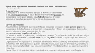 Escucha el siguiente artículo informativo, reflexiona sobre la información que se presenta y luego comenta con tu
profesor(a) y compañeros(as).
El oso perezoso
El perezoso es el animal más lento de todo el mundo. Su velocidad en
es de 2 metros por minuto. A pesar de este movimiento tan pausado, los
perezosos se han logrado adaptar a sus hábitats trepando árboles y
utilizando el camuflaje para esconderse de sus depredadores
Especies de perezosos
Actualmente se identifican 6 especies distintas de perezosos, separados en dos grandes grupos: los
perezosos de 2 dedos, los que se encuentran en lugares altos y fríos; y los perezosos de 3 dedos, los
que son más comunes en lugares a nivel del mar.
Los osos perezosos en peligro de extinción.
Las seis especies de osos perezosos que habitan en América Central y América del Sur están en peligro
de extinción, amenazadas por la deforestación y la degradación de los bosques tropicales, así como
por el tráfico ilegal.
Organizaciones encargadas de la protección de la especie América Central y en Colombia calculan que
entre 80% y 90% de los perezosos que son traficados muere, dado que son animales muy sensibles, se
estresan con mucha facilidad y esas situaciones se reflejan inmediatamente en sus sistemas respiratorio
y digestivo.
Fuente: https://noticiasambientales.com/animales/perezoso-en-peligro-de-extincion/ (Adaptación
 