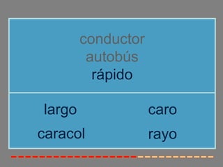 conductor
         autobús
          rápido

largo               caro
caracol             rayo
 