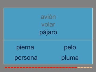 avión
           volar
          pájaro

pierna             pelo
persona            pluma
 