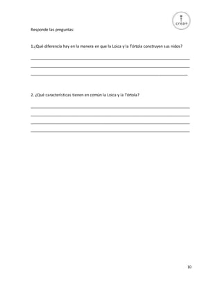 10
Responde las preguntas:
1.¿Qué diferencia hay en la manera en que la Loica y la Tórtola construyen sus nidos?
_________________________________________________________________________
_________________________________________________________________________
________________________________________________________________________
2. ¿Qué características tienen en común la Loica y la Tórtola?
_________________________________________________________________________
_________________________________________________________________________
_________________________________________________________________________
_________________________________________________________________________
 