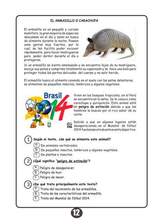 Si un armadillo se siente amenazado y se encuentra lejos de su madriguera,
encoje sus patas y comprime totalmente su caparazón y se hace una bola para
proteger todas las partes delicadas del cuerpo y no salir herido.
El armadillo busca el alimento cavando en el suelo con las patas delanteras,
se alimentan de pequeños insectos, lombrices y algunos vegetales.
El armadillo es un pequeño y curioso
mamífero, la gran mayoría de especies
descansan en el día y salen en busca
de alimento durante la noche. Poseen
unas garras muy fuertes, por lo
cual, se les facilita poder excavar
rápidamente, para hacer madrigueras
para poder dormir durante el día o
protegerse.
EL ARMADILLO O CARACHUPA
Viven en los bosques tropicales, en el Perú
se encuentra en la selva. Se le conoce como
carachupa y quirquincho. Este animal está
en peligro de extinción debido a que los
hombres le buscan por el rico sabor de su
carne.
Debido a que en algunos lugares están
desapareciendo, en el Mundial de fútbol
2014 fuelamascotadeesteeventodeportivo.
Según el texto, ¿de qué se alimenta este animall?1.
De animales vertebrados.
De pequeños insectos, lombrices y algunos vegetales.
De plantas e insectos.
a
b
c
¿Qué significa “peligro de extinción”?2.
Peligro de desaparecer.
Peligro de huir.
Peligro de nacer.
a
b
c
¿De qué trata principalmente este texto?3.
Trata del nacimiento de los armadillos.
Trata de las características del armadillo.
Trata del Mundial de fútbol 2014.
a
b
c
12
 