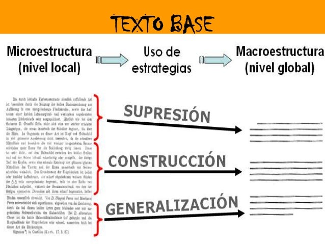 Comprension lectora niveles de lectura