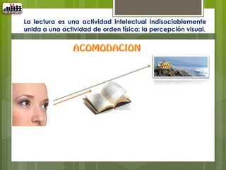 La lectura es una actividad intelectual indisociablemente
unida a una actividad de orden físico: la percepción visual.
 