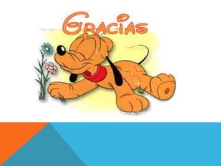 Compresión y Producción de Textos 