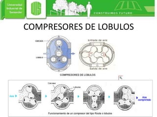 COMPRESORES DE LOBULOS
 