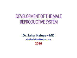 DEVELOPMENT OF THE MALE
REPRODUCTIVE SYSTEM
Dr. Sahar Hafeez – MD
drsaharhafeez@yahoo.com
2016
 