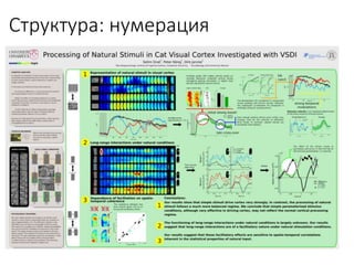 Структура: нумерация
 