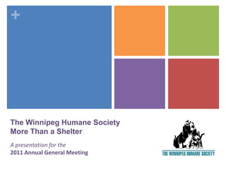 +




The Winnipeg Humane Society
More Than a Shelter
A presentation for the
2011 Annual General Meeting
 