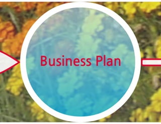 Business models for compressed air engine autos