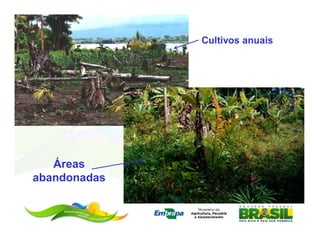 Cultivos anuais




   Áreas
abandonadas
 