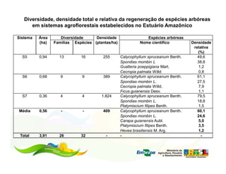 Diversidade, densidade total e relativa da regeneração de espécies arbóreas
      em sistemas agroflorestais estabelecidos no Estuário Amazônico

Sistema   Área      Diversidade     Densidade                 Espécies arbóreas
          (ha)   Famílias Espécies (plantas/ha)            Nome científico          Densidade
                                                                                     relativa
                                                                                       (%)
  S5      0,94     13        16         255       Calycophyllum spruceanum Benth.      49,6
                                                  Spondias mombin L                    38,8
                                                  Guatteria poeppigiana Mart.          1,2
                                                  Cecropia palmata Willd               0,8
  S6      0,68      9         9         389       Calycophyllum spruceanum Benth.      61,1
                                                  Spondias mombin L.                   27,5
                                                  Cecropia palmata Willd.              7,9
                                                  Ficus guianensis Desv.               1,1
  S7      0,36      4         4        1.824      Calycophyllum spruceanum Benth.      79,5
                                                  Spondias mombin L.                   18,8
                                                  Platymiscium filipes Benth.          1,5
Média     0,56      -         -         409       Calycophyllum spruceanum Benth.      60,1
                                                  Spondias mombin L.                   24,6
                                                  Carapa guianensis Aubl.              5,0
                                                  Platymiscium filipes Benth.          3,5
                                                  Hevea brasiliensis M. Arg.           1,2
 Total    3,91     26        32          -        -                                      -
 