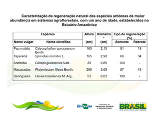 Caracterização da regeneração natural das espécies arbóreas de maior
abundância em sistemas agroflorestais, com um ano de idade, estabelecidos no
                           Estuário Amazônico

                   Espécies                   Altura Diâmetro Tipo de regeneração
                                                         *             (%)
  Nome vulgar          Nome científico         (cm)    (cm)    Semente Rebrote

 Pau mulato     Calycophyllum spruceanum       160     2,15       81        19
                Benth.
 Taperebá       Spondias mombin L.             165     2,90       66        34

 Andiroba       Carapa guianensis Aubl.        39      0,89      100         -

 Macacaúba      Platymiscium filipes Benth.    265     3,09       57        43

 Seringueira    Hevea brasiliensis M. Arg.     53      0,83      100         -
 