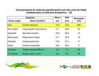 Caracterização de sistemas agroflorestais com dez anos de idade,
                     estabelecidos no Estuário Amazônico – S2

                    Espécies                 Altura    DAP     Densidade
Nome vulgar             Nome científico        (m)     (cm)      n/ha

Açaí            Euterpe oleracea              11,8     12,5       464

Pau mulato      Calycophyllum spruceanum      17,1     20,8       50

Taperebá        Spondias mombin .             19,9     58,8       14

Macacaúba       Platymiscium filipes          17,1     22,4       10

Andiroba        Carapa guianensis             13,5     21,4       11

Virola          Virola surinamensis           16,5     28,4        5

Cupuaçu         Theobroma grandiflorum         4,2     7,3        65

O. fruteiras    Manga, cacau, citrus           4,9     9,1        30
 