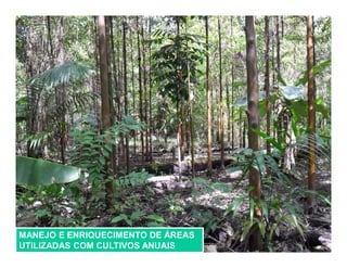 MANEJO E ENRIQUECIMENTO DE ÁREAS
UTILIZADAS COM CULTIVOS ANUAIS
 