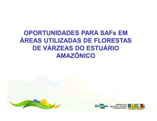 OPORTUNIDADES PARA SAFs EM
ÁREAS UTILIZADAS DE FLORESTAS
   DE VÁRZEAS DO ESTUÁRIO
          AMAZÔNICO
 