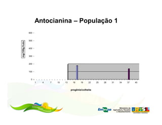 Antocianina – População 1
                600


                500
mg/100g fruto




                400


                300


                200


                100


                 0
                      1   4   7   10   13    16     19    22    25   28   31   34   37   40


                                            progênie/colheita
 