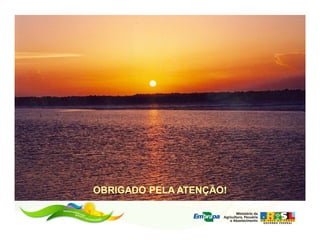 OBRIGADO PELA ATENÇÃO!
 