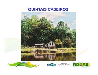 QUINTAIS CASEIROS
 